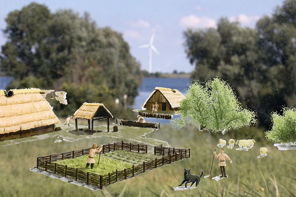 hellegatsplaten natuurgebied natuur staatsbosbeheer goeree overflakkee heckrunderen hdr fjordenpaarden vogelkijkhut